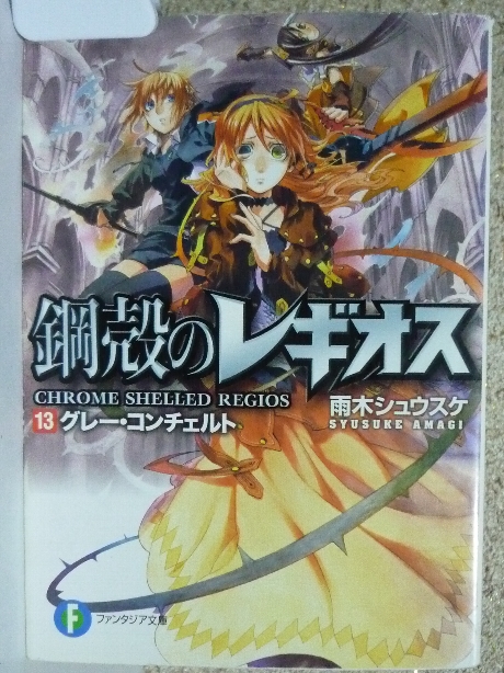 鋼殻のレギオス１３　雨木シュウスケ(著)